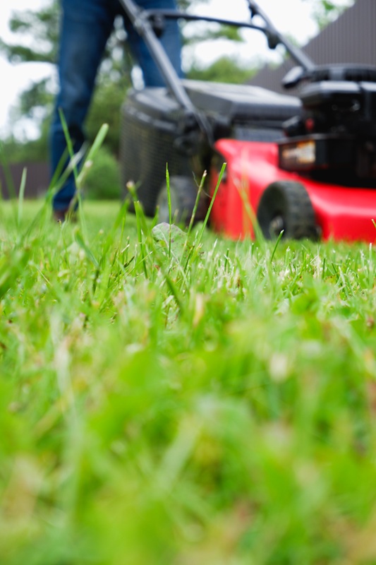 lawn mowing